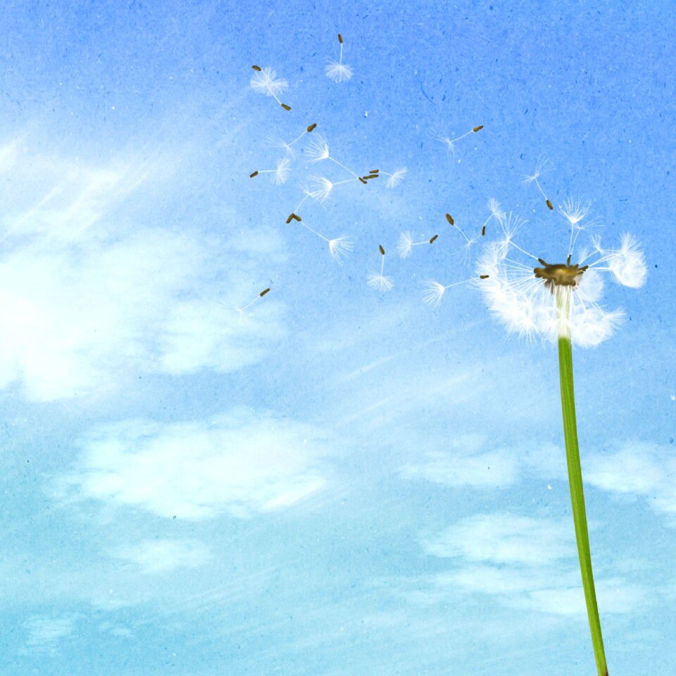 Vintage sky old