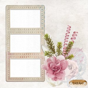 Page craft rose