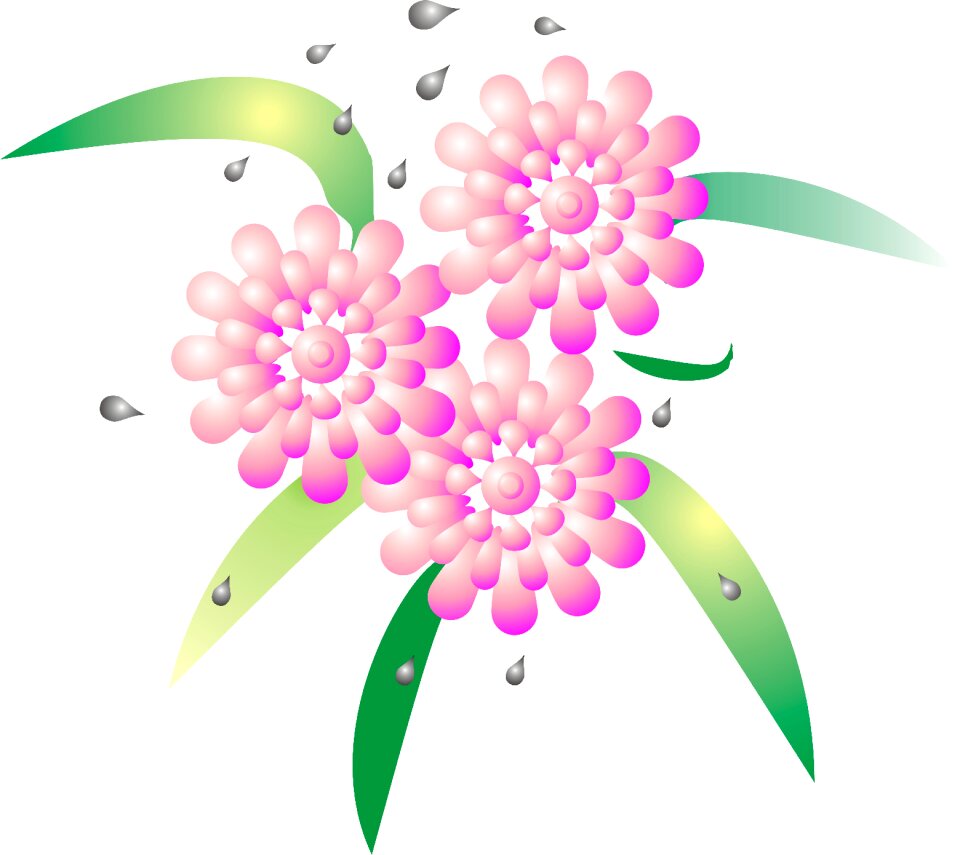 Color pink pink flower nature