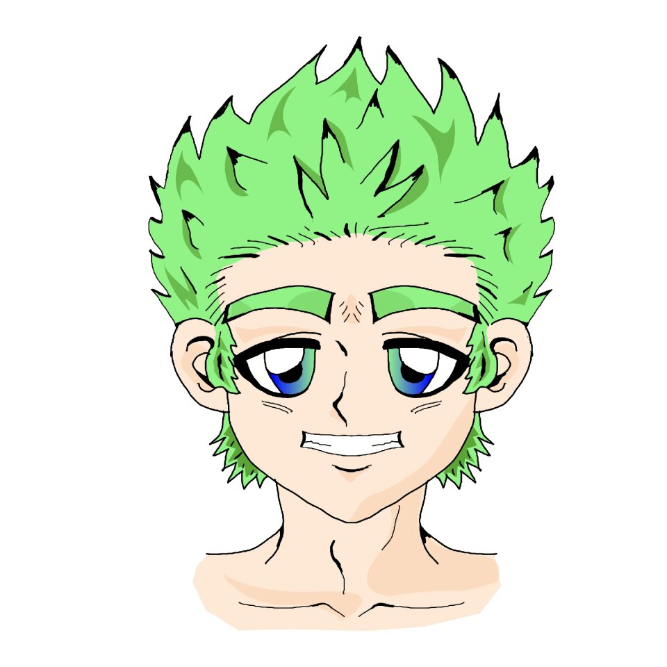 Face vector color