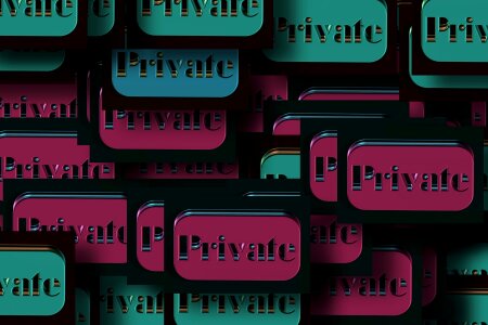 Privacy goal door