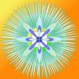 Structure pattern decorative