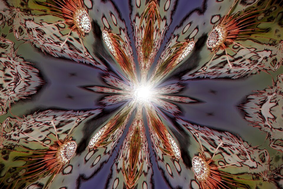 Color creative pattern