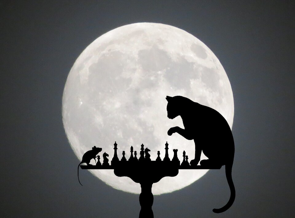 Silhouette gray mouse Free illustrations