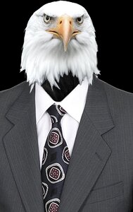 Shirt eagle animals