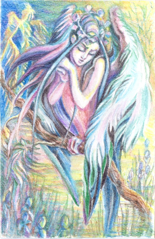 Mythology girl woman-bird