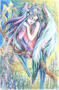 Mythology girl woman-bird