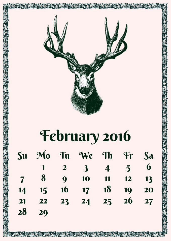 Calendar deer buck