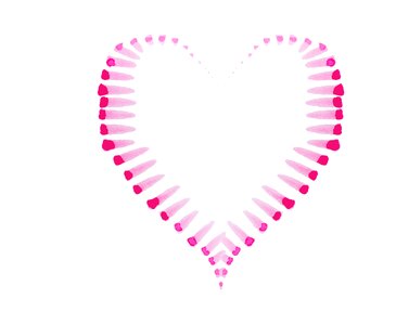 Red pink valentine
