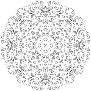 Color floral pattern Free illustrations