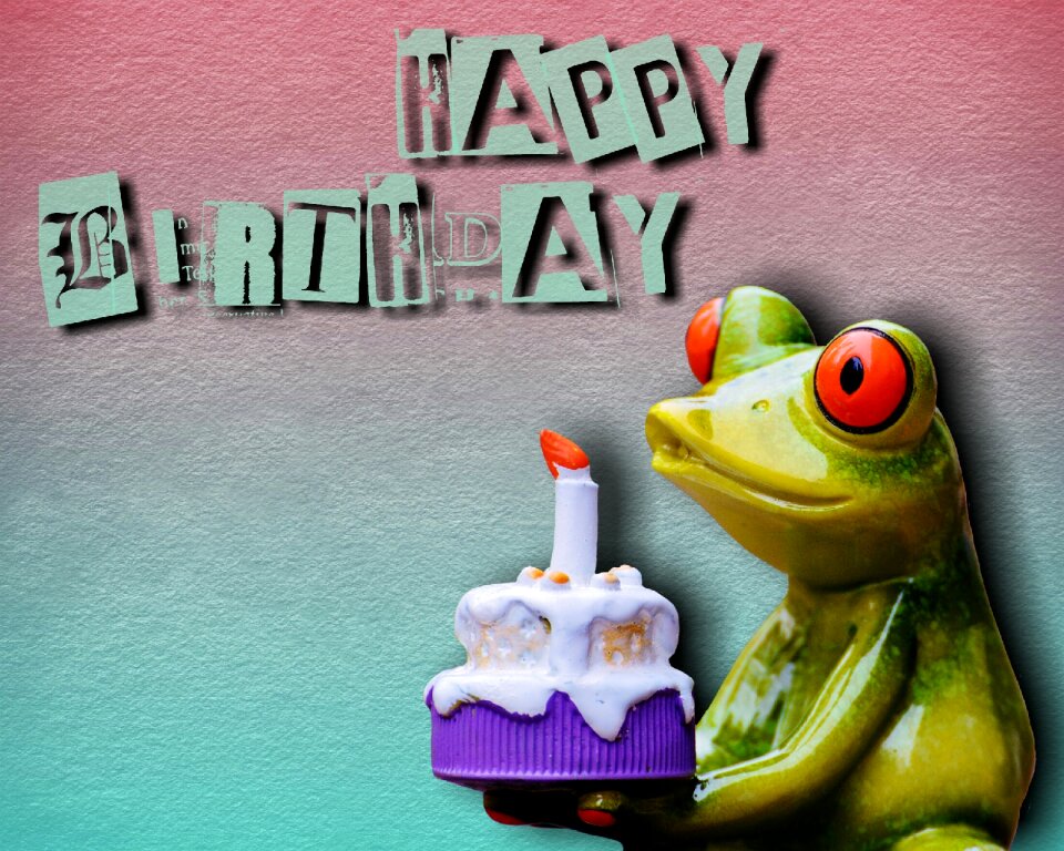 Greeting greeting card funny