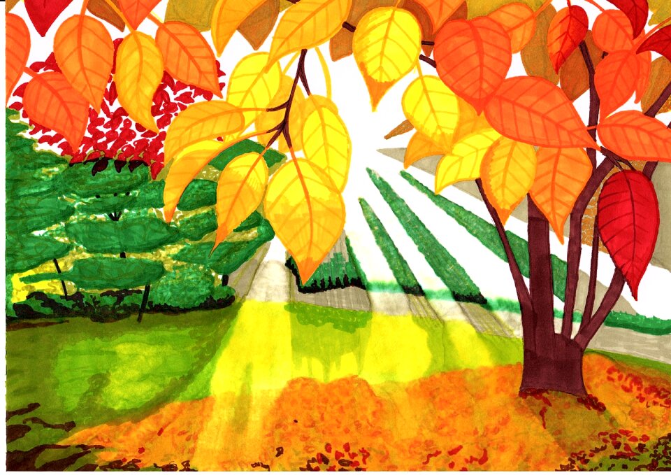 Nature fall Free illustrations
