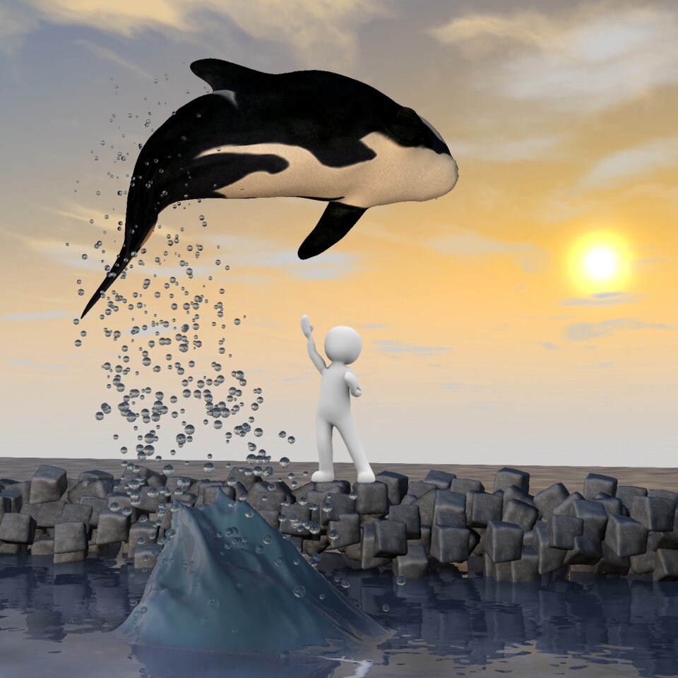 Jump flying ocean
