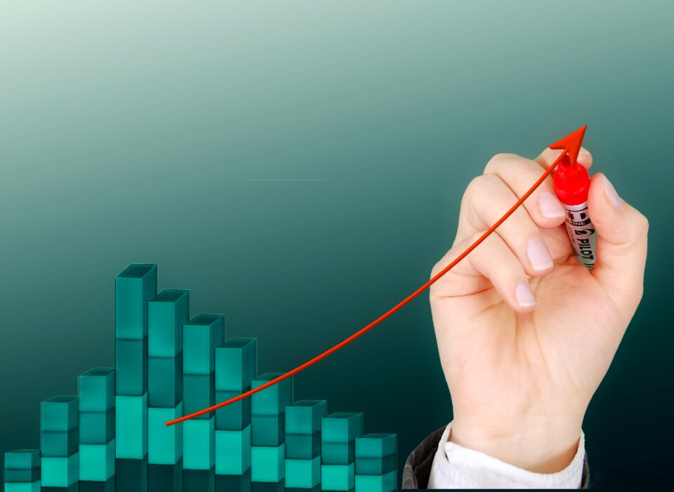 Business company intention