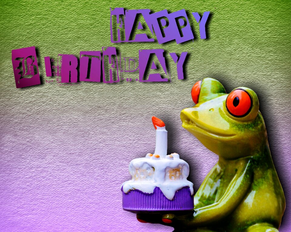Greeting greeting card funny