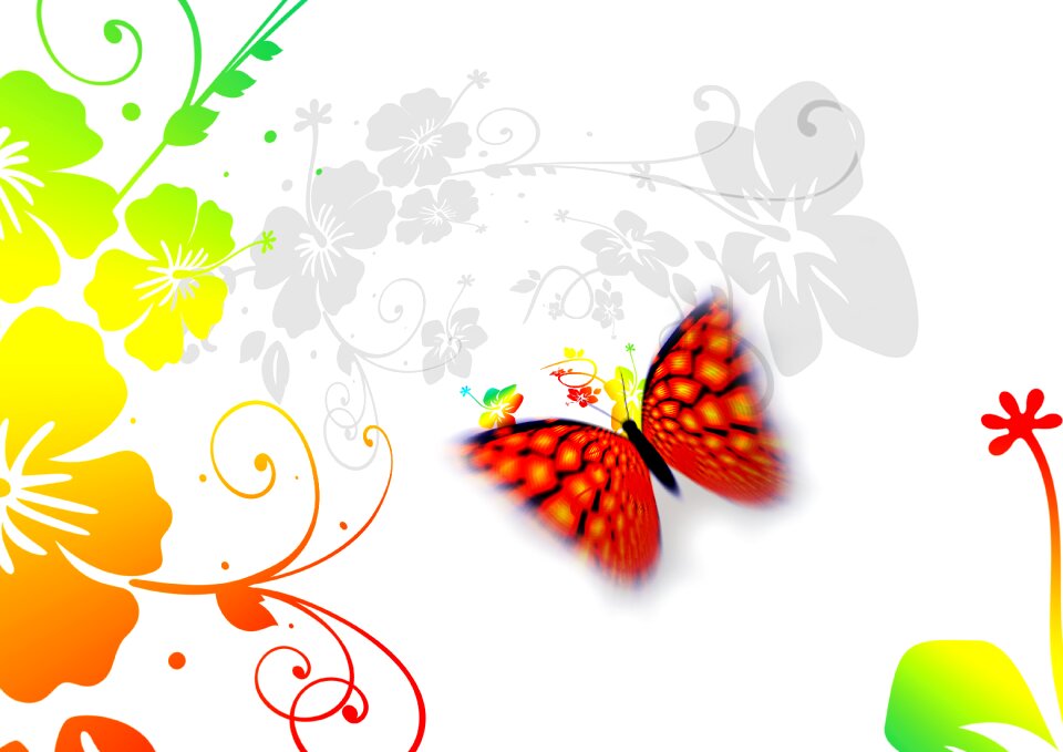 Butterfly ornament abstract