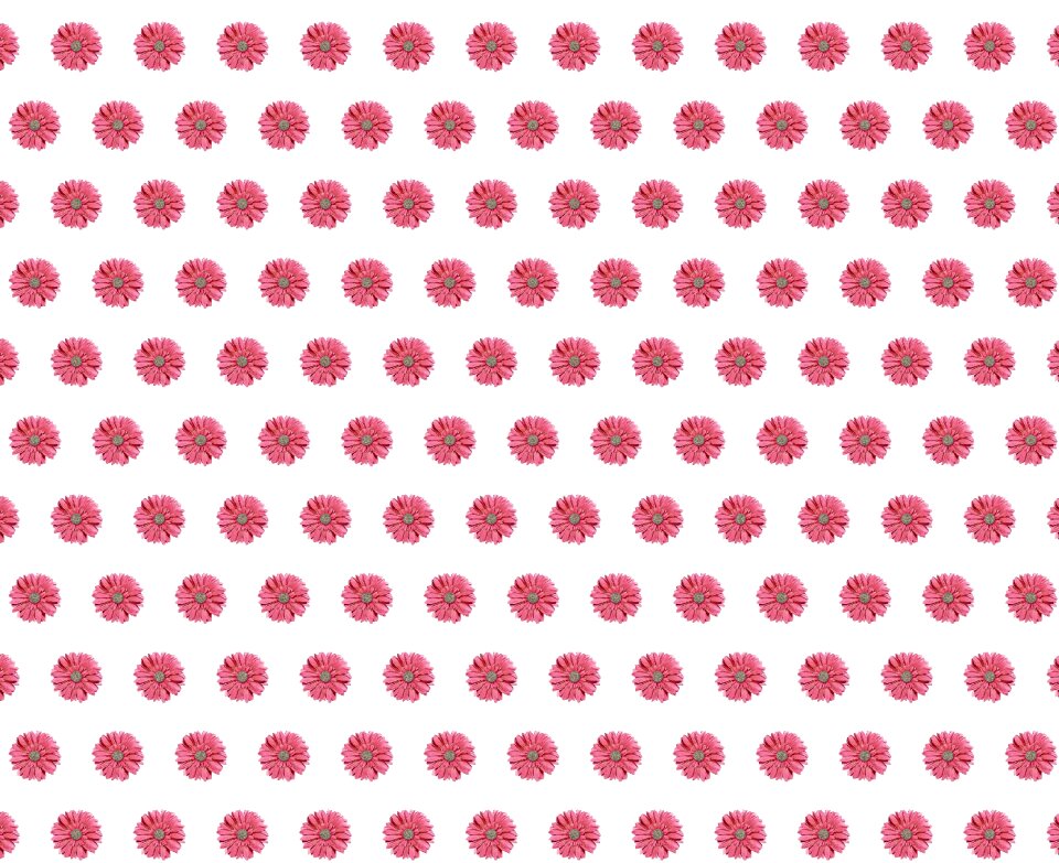 Nature reasons graphic design