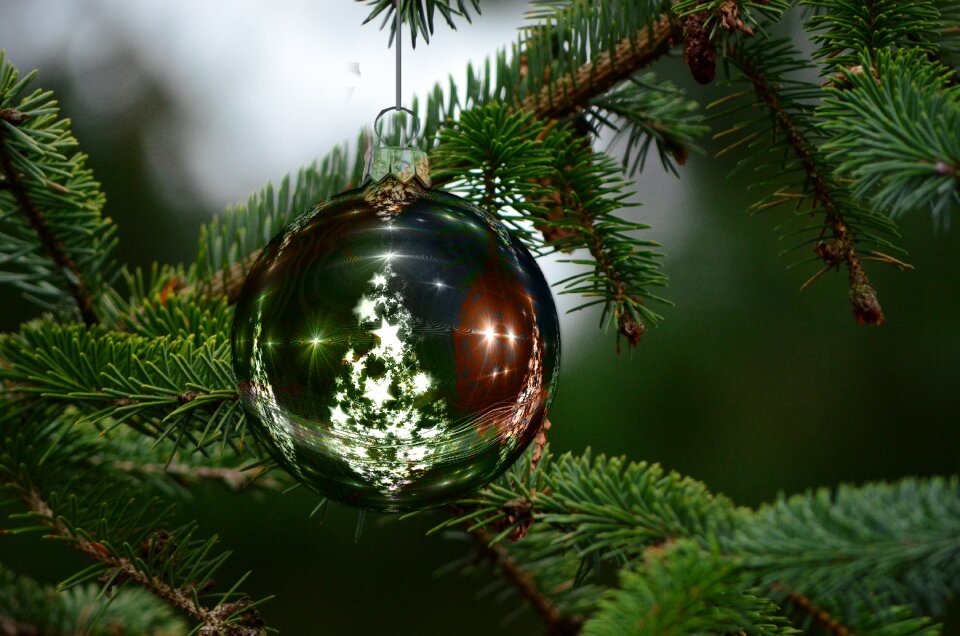 Decoration christmas tree tree decorations