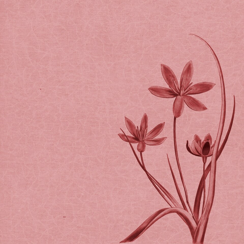 Sepia vintage backgrounds design