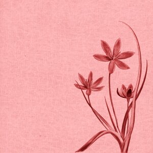 Sepia vintage backgrounds design
