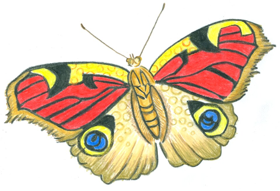 Wings drawing Free illustrations