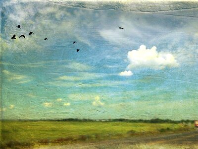 Background texture landscape