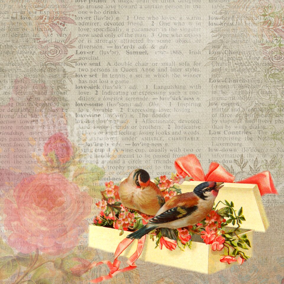 Gift bow box