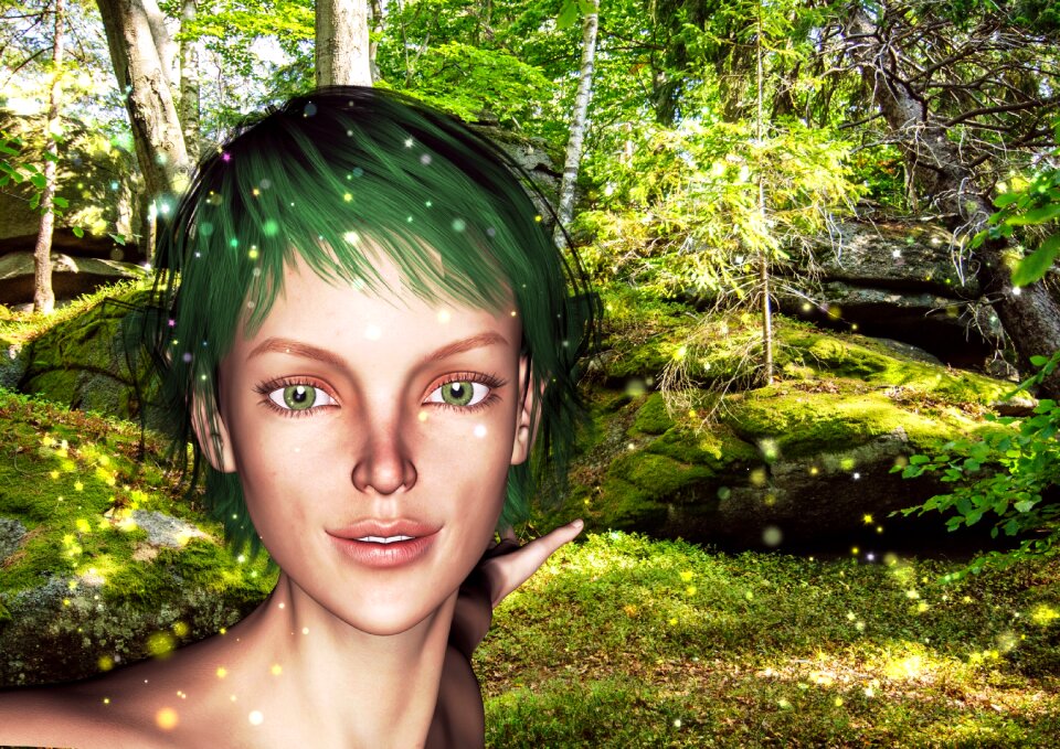 Friendly forest fairytale