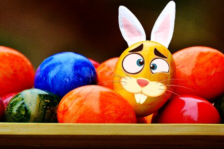 Happy easter egg colored