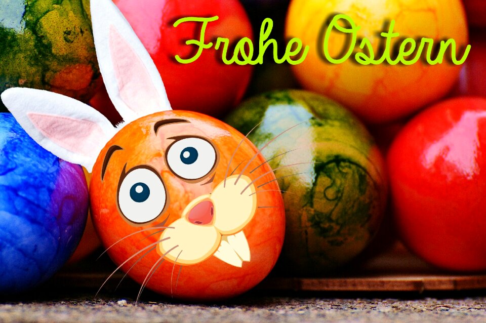 Happy easter egg colored