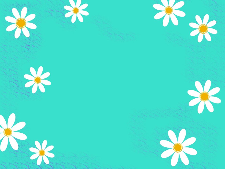 Background daisy flower