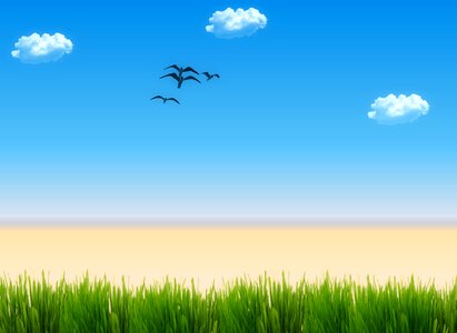Birds vacations weather