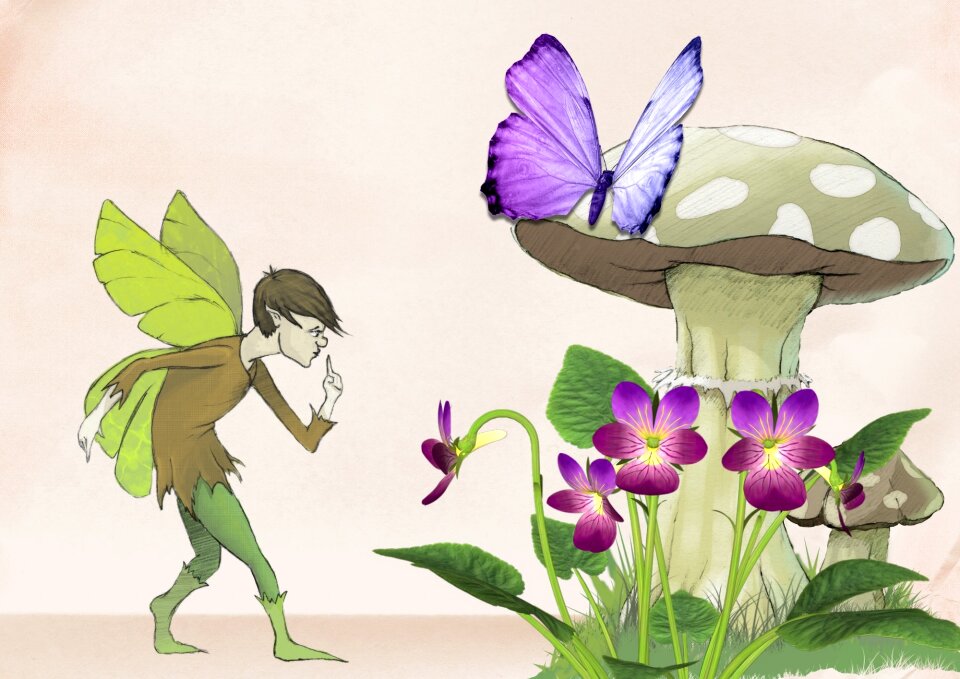 Butterfly dreamy design