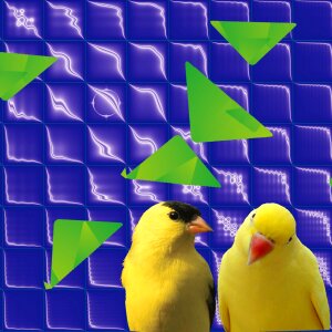 Color colorful bright background