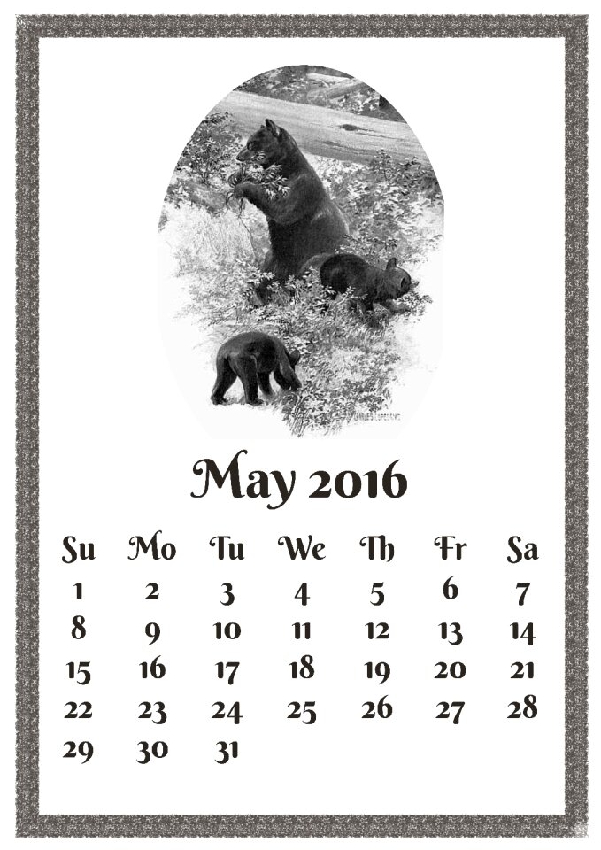 Bear bear cub cub
