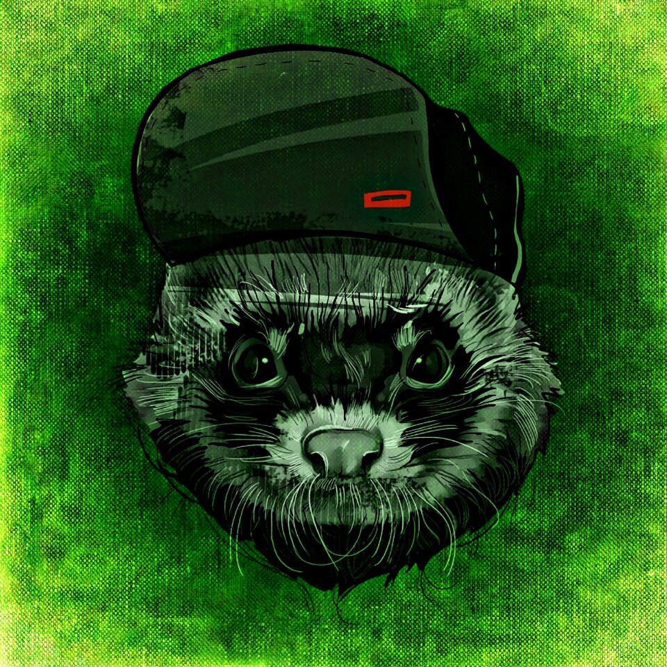Funny cap fun