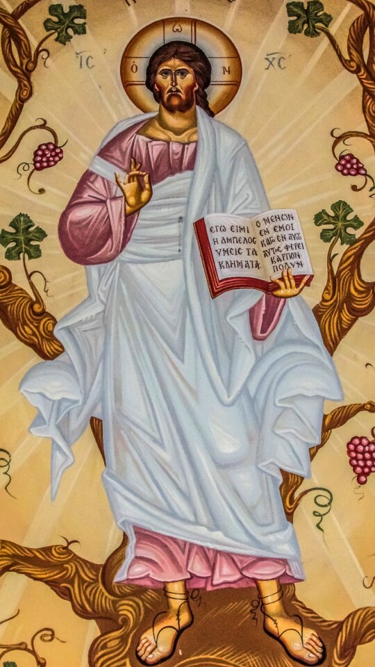 Vine iconography religion