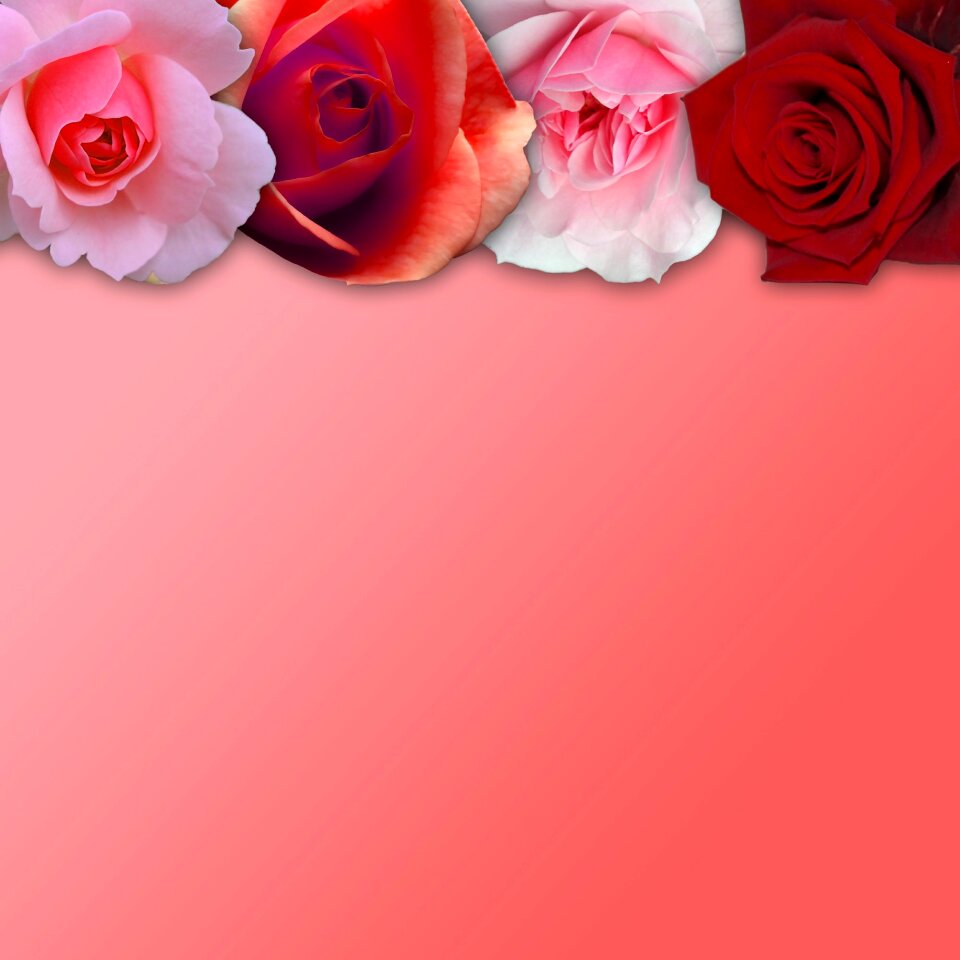 Botany flower floral