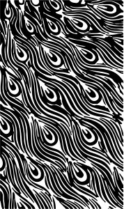 Pattern bird feathers