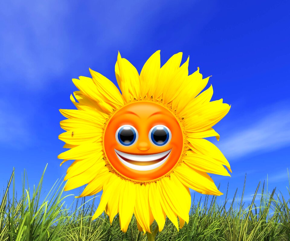 Summer flower happiness