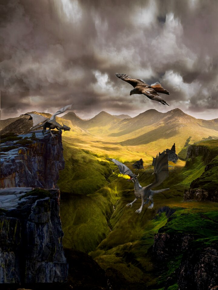 Sky flying forest