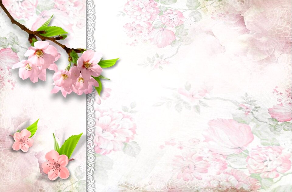 Pink beautiful Free illustrations