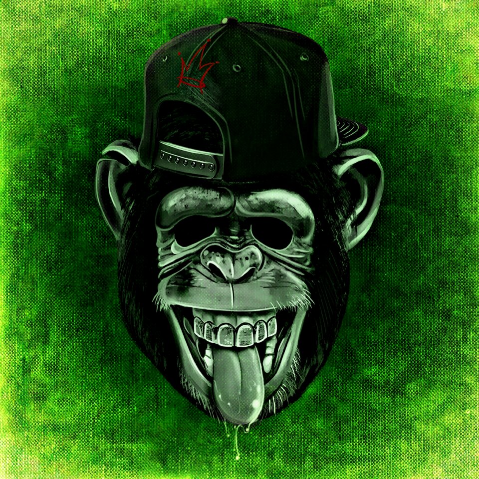 Cheeky cap animal