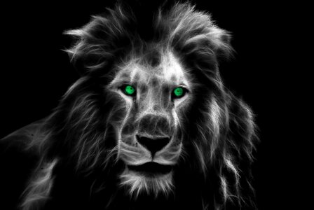 Animal fractalius Free illustrations