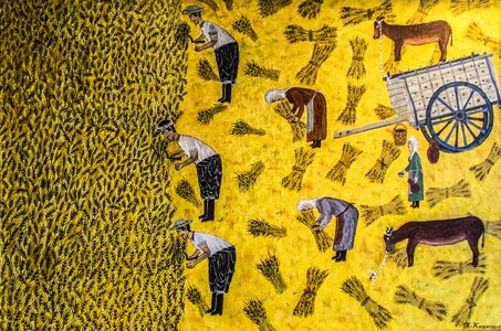 Harvest reaping agriculture