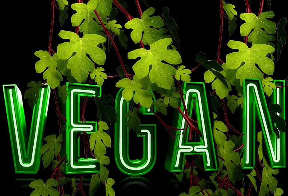 Setting meatless healthy