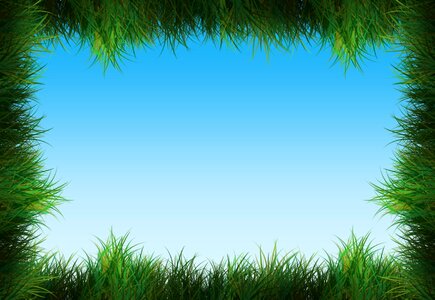 Meadow blades of grass frame