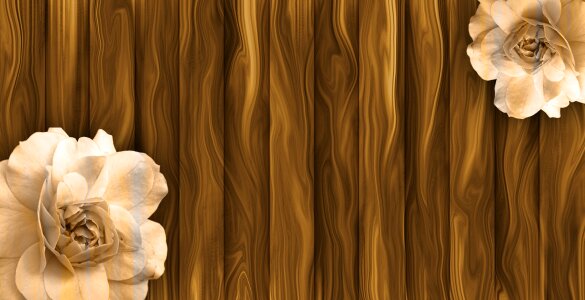 Texture background brown