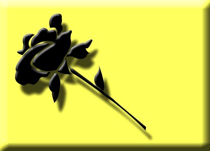 3d blossom bloom