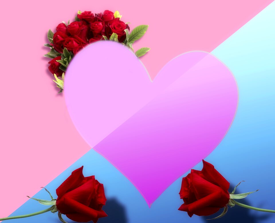 Flower valentine's day romance